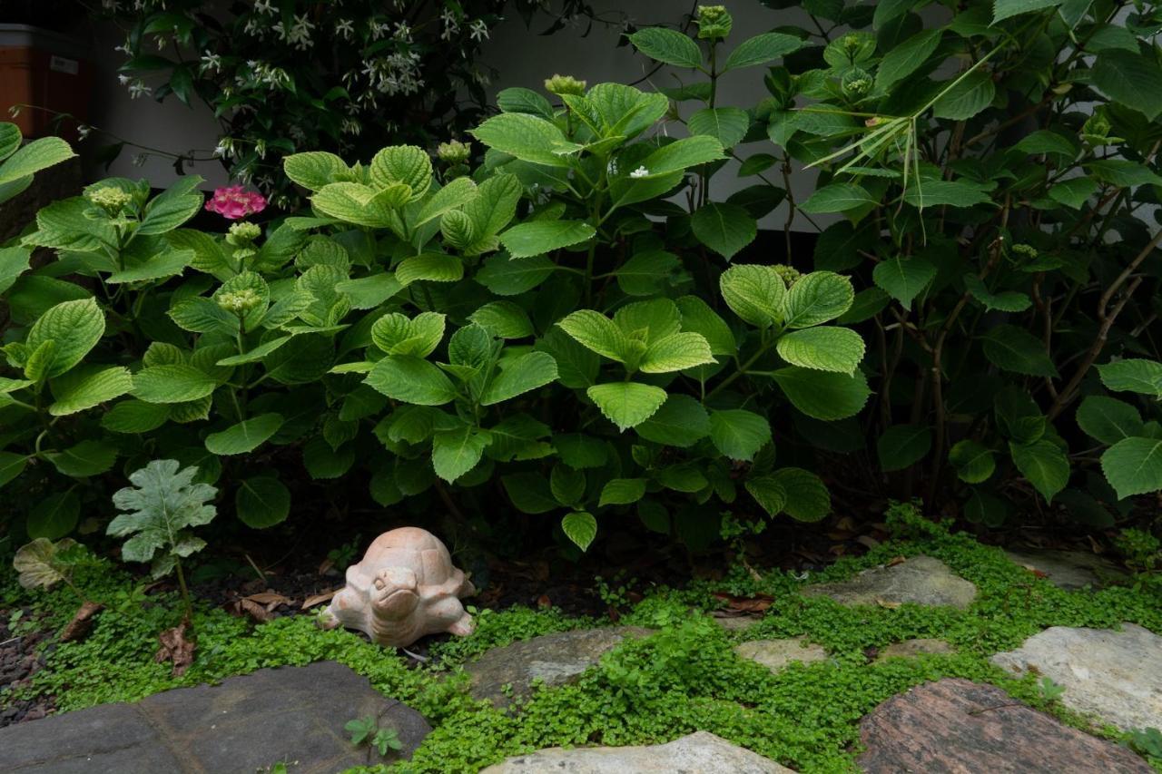 ホテル La Martinoise Garden サン・マルタン・ド・レ エクステリア 写真
